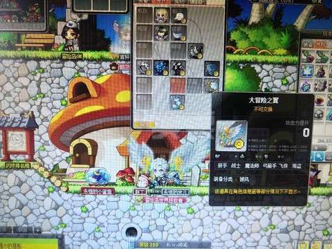 冒险岛2什么东西值钱[图2]