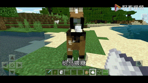 我的世界怎么驯养动物[图2]