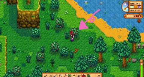 星露谷物语树莓怎么摘[图1]