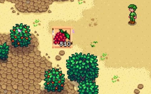 星露谷物语树莓怎么摘[图2]