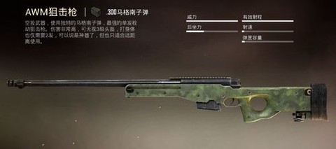 绝地求生amw什么枪[图2]