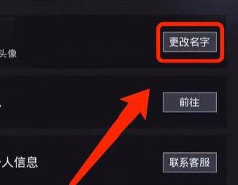 绝地求生的名字怎么取[图2]