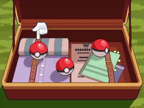 口袋妖怪白金手指怎么用