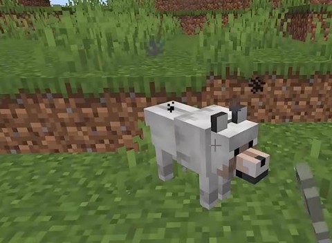 我的世界怎么驯服鸵鸟