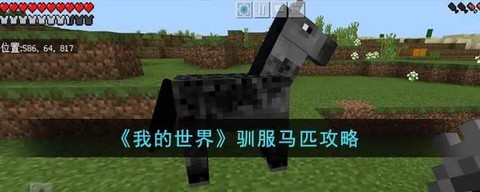 我的世界怎么驯服鸵鸟[图2]